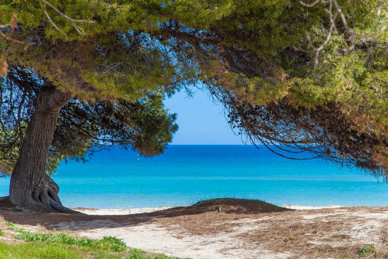 Formentera 2 Villa Can Picafort  Dış mekan fotoğraf